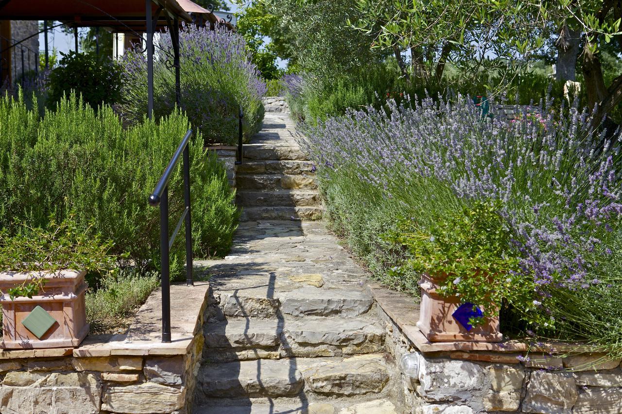 Fonte Magia Bed & Breakfast Castel de' Fiori Bagian luar foto