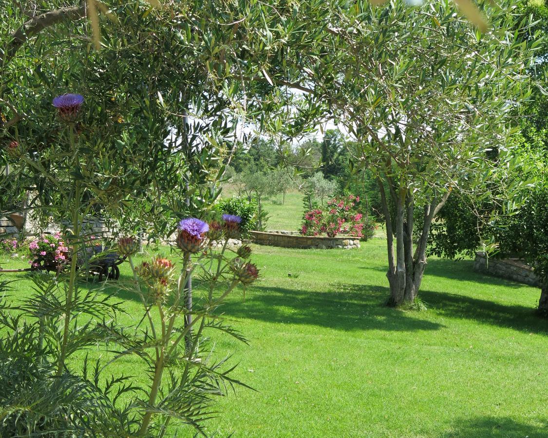 Fonte Magia Bed & Breakfast Castel de' Fiori Bagian luar foto